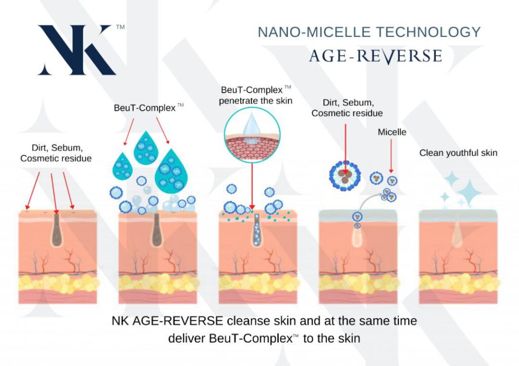 Teknologi nano-micelle